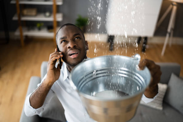 Best Basement water damage restoration  in Perry, GA