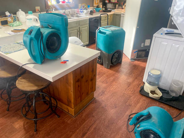 Best Flooded house restoration  in Perry, GA