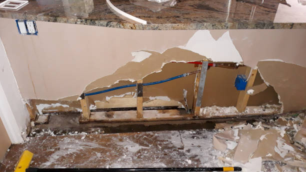 Best Local water damage restoration  in Perry, GA