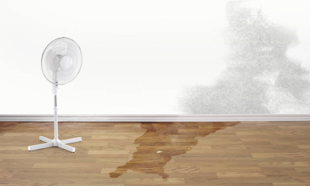 Best Water damage restoration services  in Perry, GA