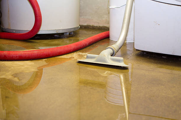 Best 24/7 water damage repair  in Perry, GA