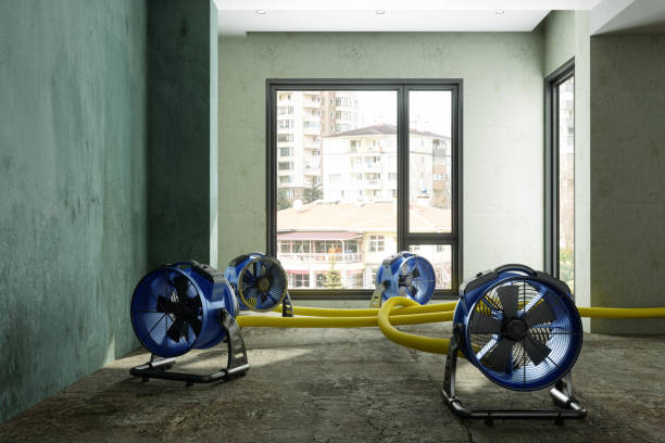 Best 24/7 water damage repair  in Perry, GA